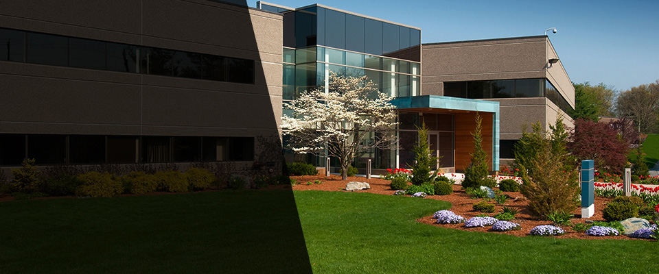 Flagler Beach Landscapers