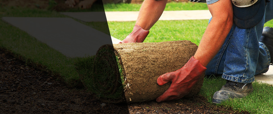 Flagler Beach Landscapers